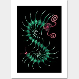 Watermelon Centipede Posters and Art